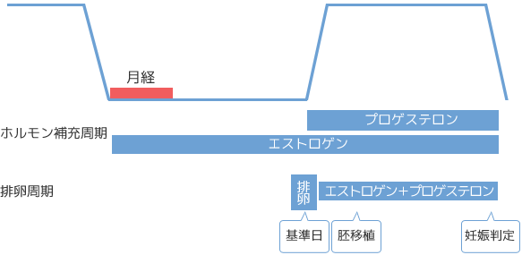 凍結－融解胚移植法