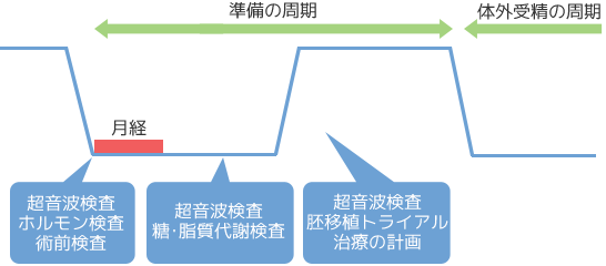 体外受精の準備