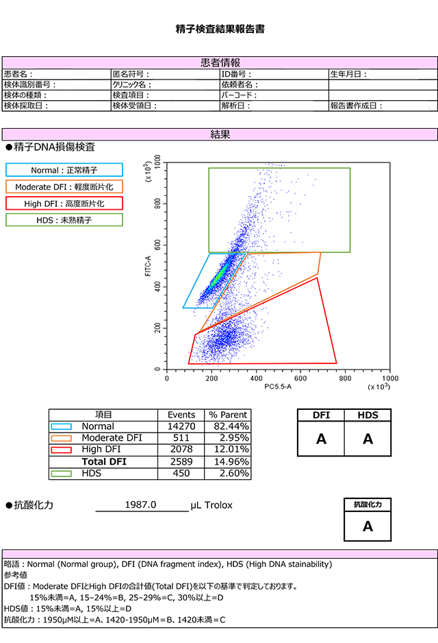 DFI報告書の見本